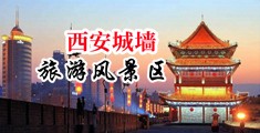www..com.cn插插插中国陕西-西安城墙旅游风景区